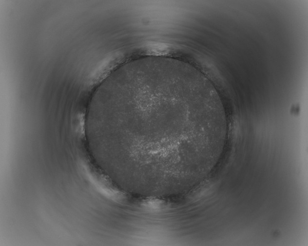 X0000110720598200907022048