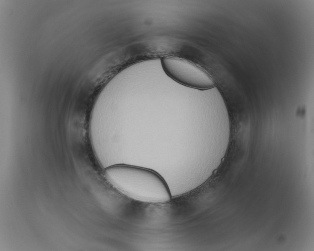 X0000110720599200907022048