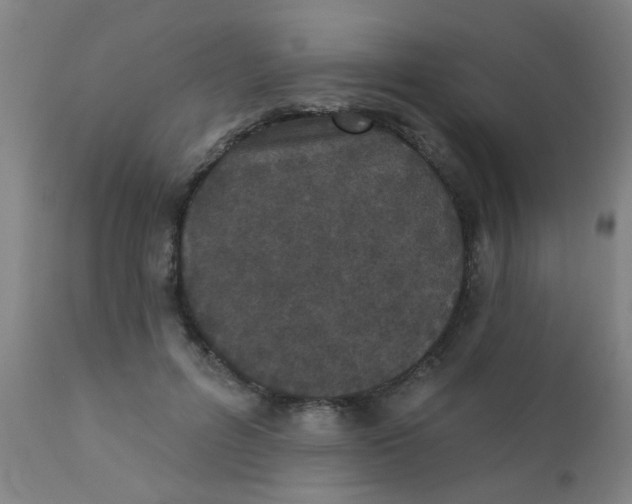 X0000110720600200907022048