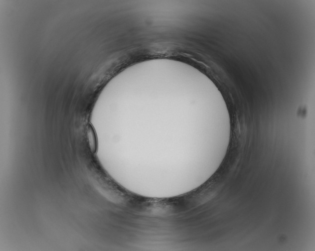 X0000110720601200907022048