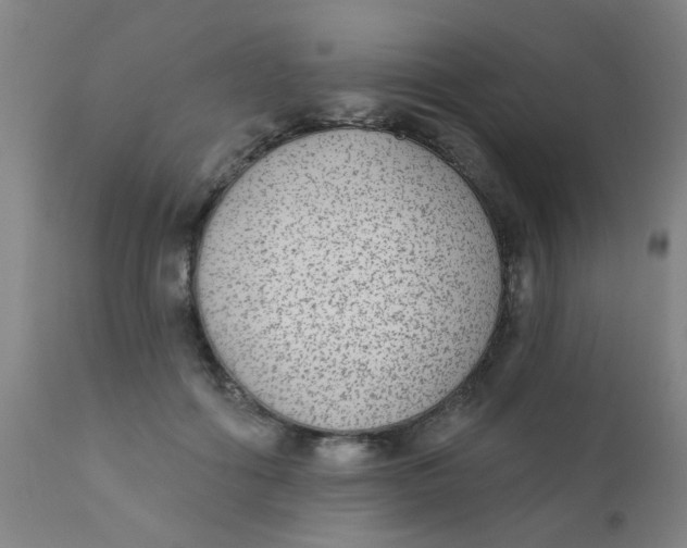 X0000110720602200907022048