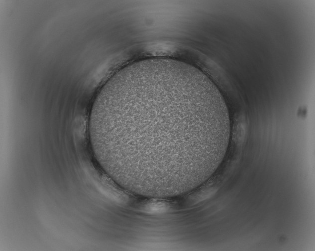 X0000110720604200907022048