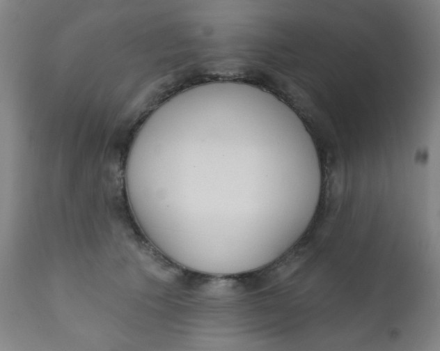 X0000110720609200907022048