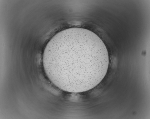 X0000110720612200907022048