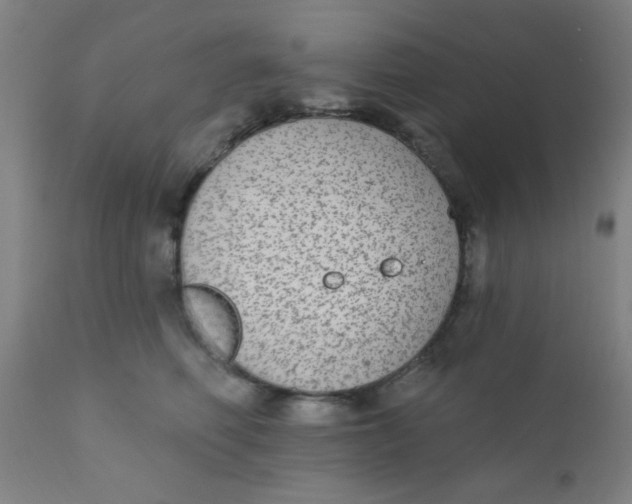 X0000110720614200907022048