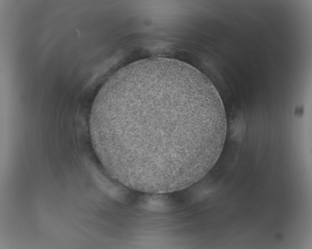 X0000110720618200907022048