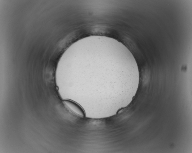 X0000110720619200907022048