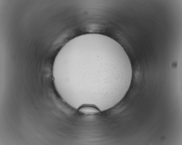 X0000110720620200907022048