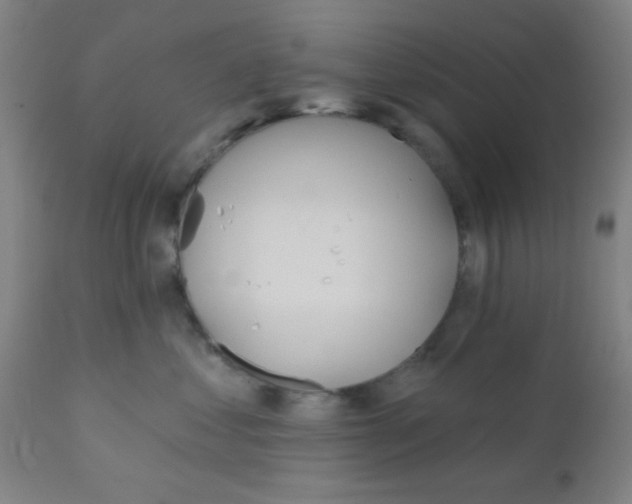 X0000110720621200907022048