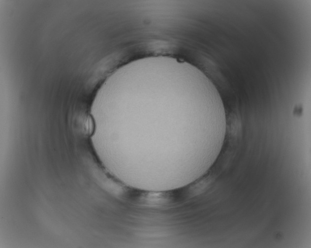 X0000110720622200907022048