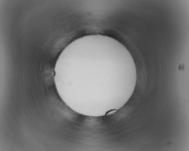 X0000110720624200907022048