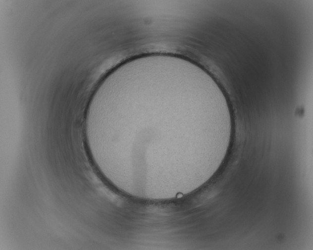 X0000110720625200907022047