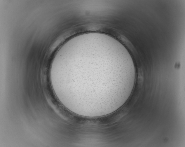 X0000110720626200907022047