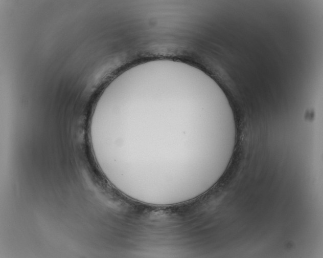 X0000110720635200907022047