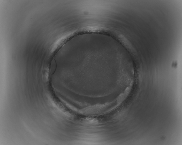 X0000110720640200907022047