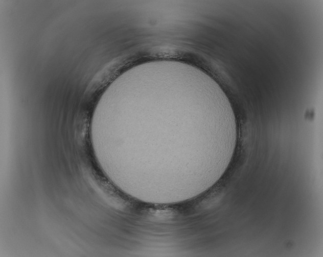 X0000110720645200907022047