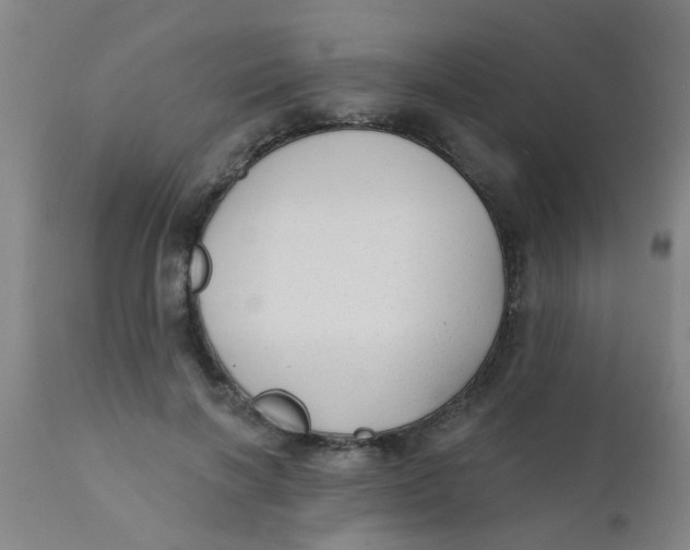 X0000110720646200907022047