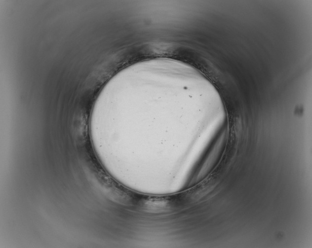 X0000110720651200907022047