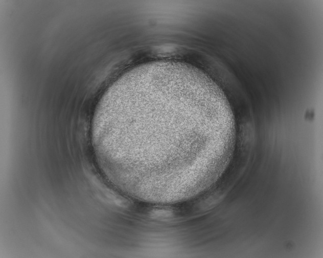 X0000110720653200907022047