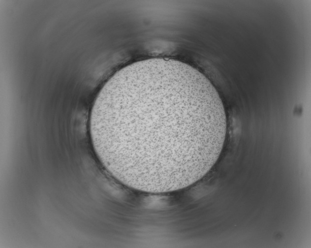 X0000110720664200907022047