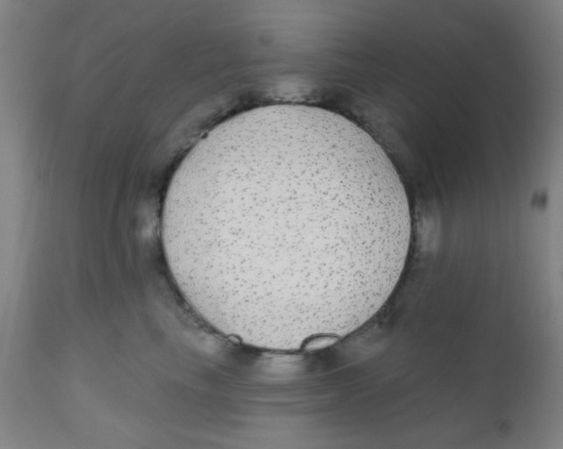 X0000110720665200907022047