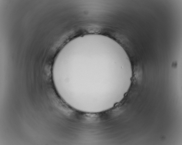 X0000110720667200907022047