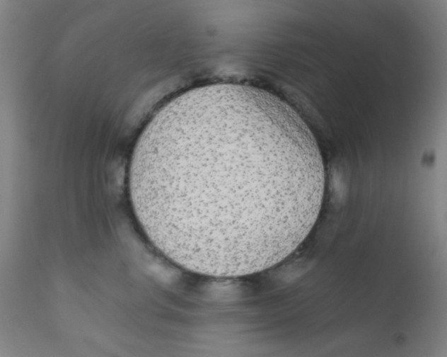 X0000110720668200907022047