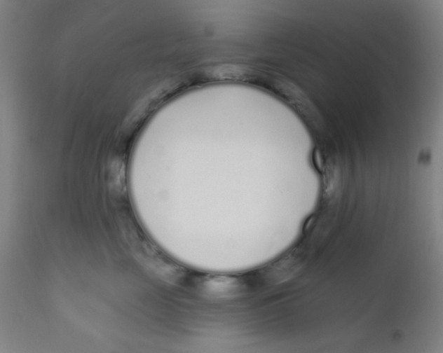 X0000110720669200907022047