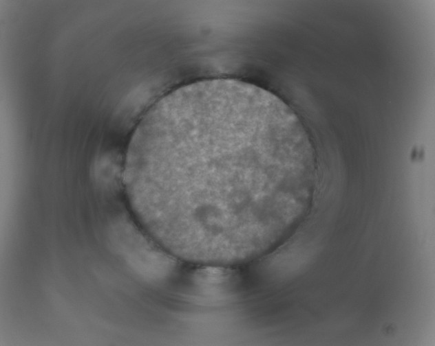 X0000110720672200907022048