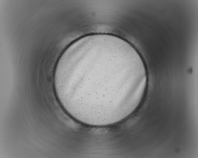 X0000110720673200907022047