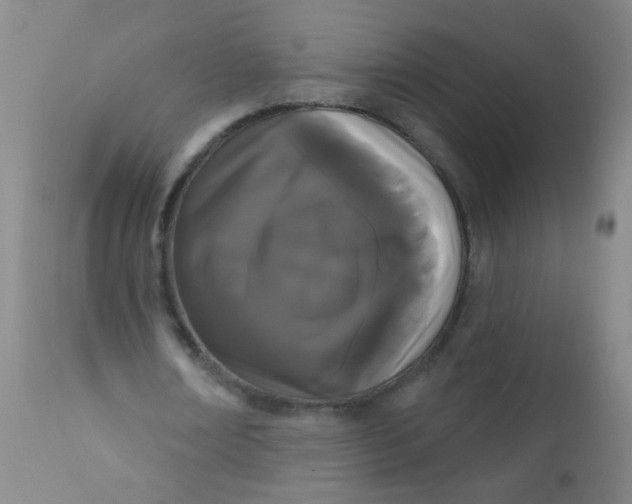 X0000110720674200907022047