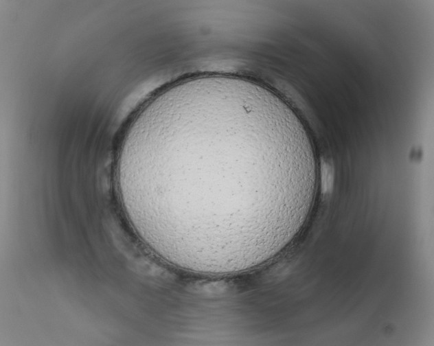 X0000110720675200907022047