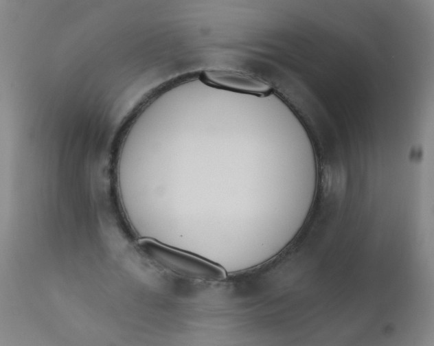 X0000110720676200907022047