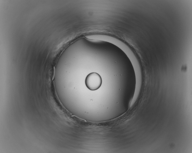 X0000110720681200907022046