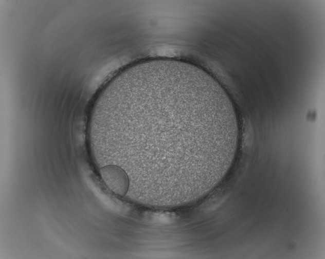 X0000110720683200907022046