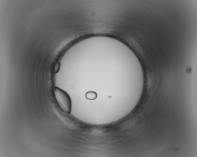 X0000110720684200907022046