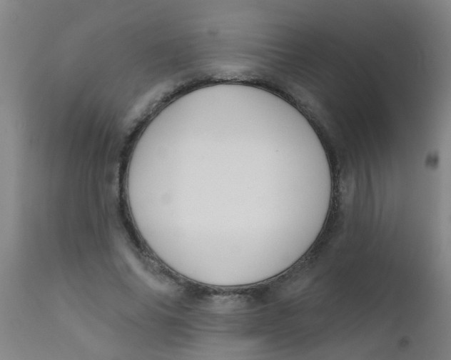 X0000110720686200907022046