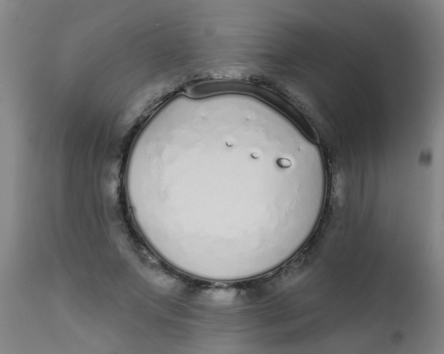 X0000110720687200907022046