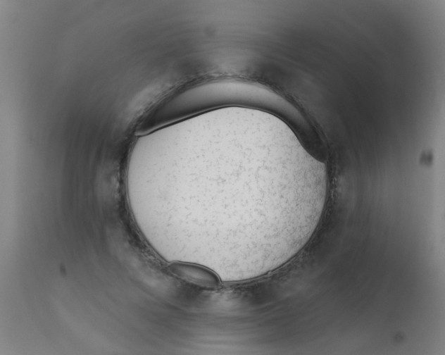 X0000110720688200907022046