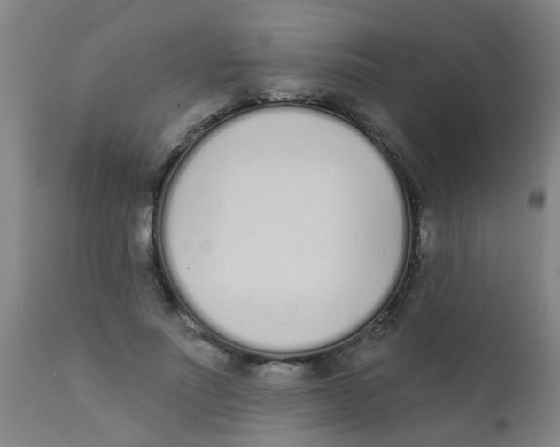 X0000110720691200907022046