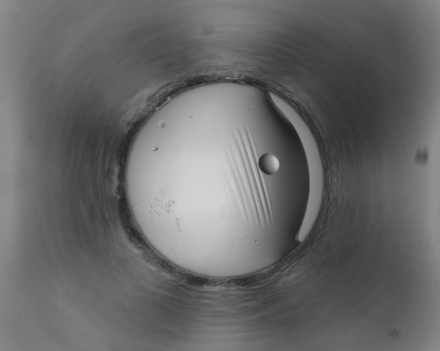 X0000110720693200907022046