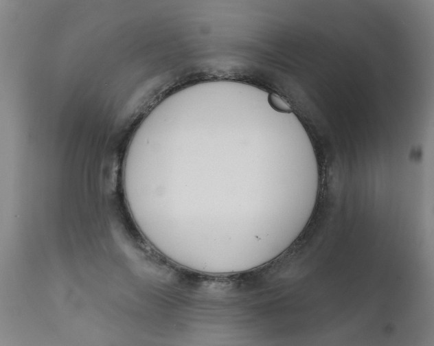 X0000110720694200907022046