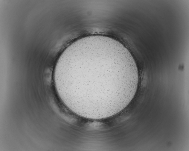 X0000110720695200907022046