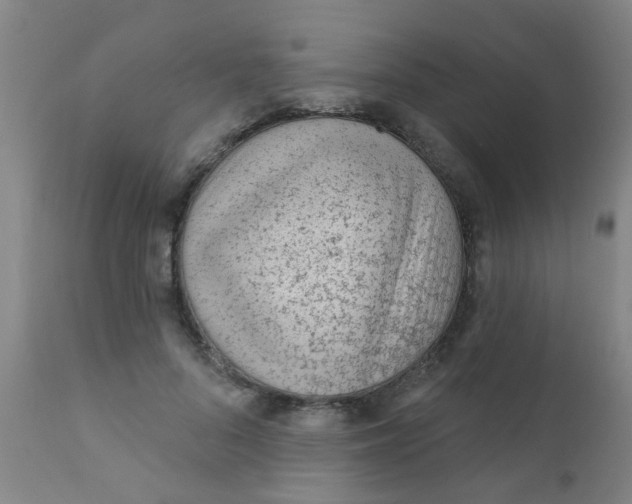 X0000110720696200907022046