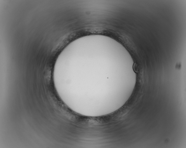 X0000110720697200907022046