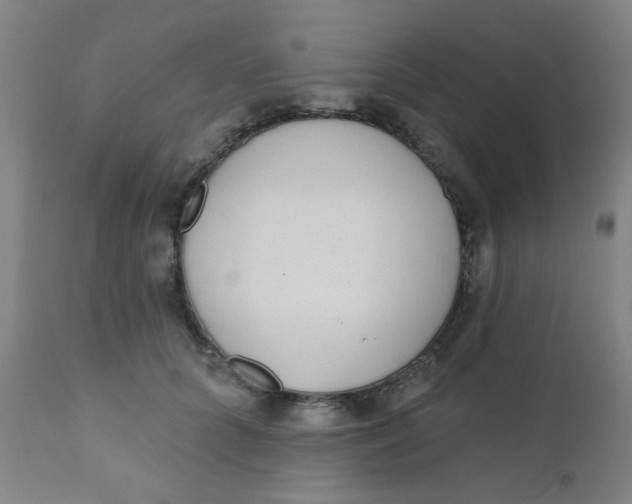 X0000110720704200907022046