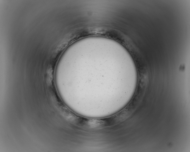 X0000110720707200907022046