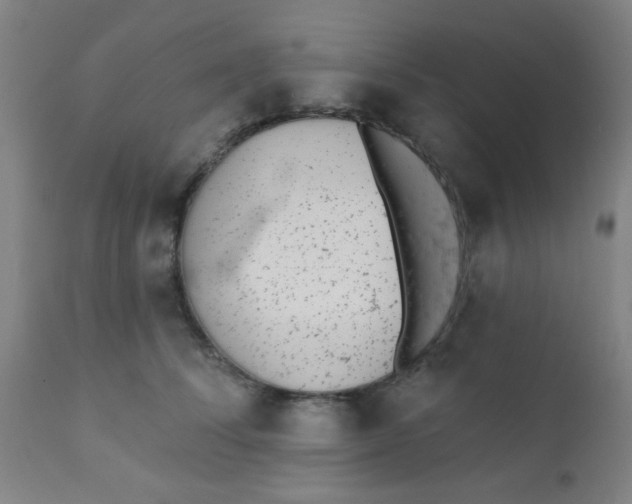 X0000110720708200907022046