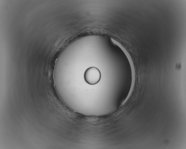 X0000110720709200907022046