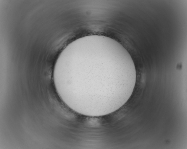 X0000110720710200907022046